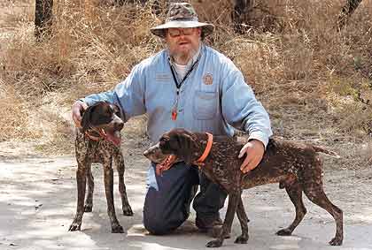 Hunting With Multiple Dogs: Pointing Breeds