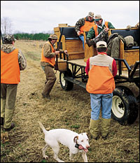 hunting quail mississippi circle plantation wagon adds leisurely tired provides smooth touch ride another area around air gundogmag