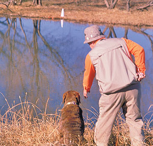 Bird hunting blind Details about   Dog Training blind Hunt Test Field Trial Holding Blinds 