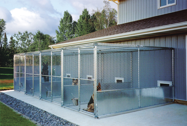 How To Build the Perfect Dog Kennel - Gun Dog Magazine