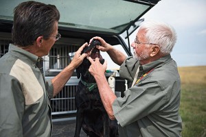 First Aid Tips for Your Gun Dog
