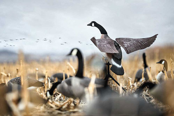 Top Waterfowl Decoys and Calls for This Season
