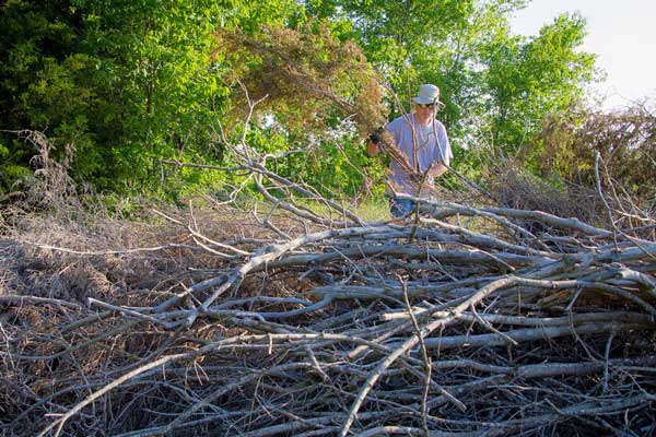 How to Create Better Brush Piles in 7 Simple Steps