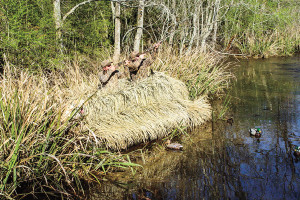Ground Blind Options for Waterfowlers