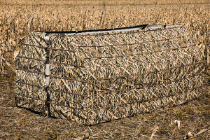 How to make the most of your ground blind