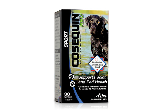 Best supplement for joint health in dogs