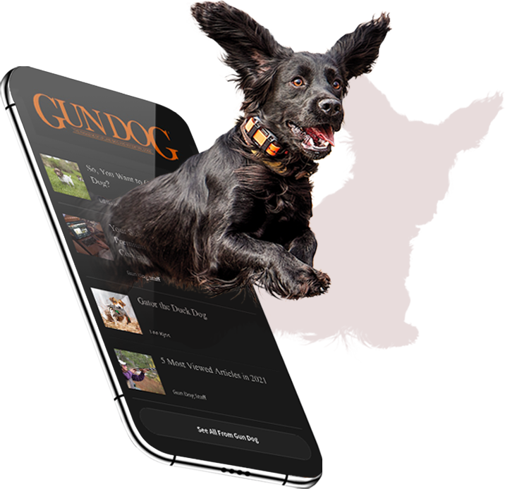 Dog jumping out of phone with Gun Dog website in the background