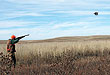 South Dakota Pheasant Hunting At Cheyenne Ridge