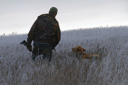 Keep Your Hunting Dog In Shape