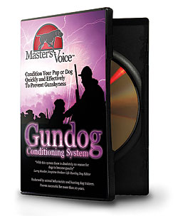 Master's Voice Gunshy Cure Audio CD