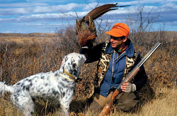 Giving Chase: Do Running Birds Ruin Pointing Dogs? 