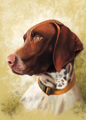 German Shorthaired Pointer: Breed Profile