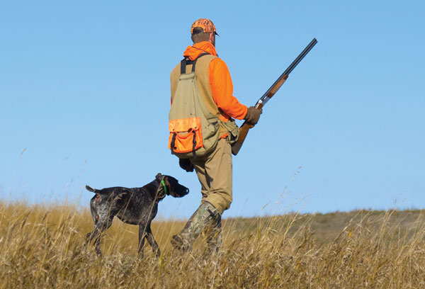 Future of Gun Dogs: Is More Anti-Hunting Legislation On The Way?