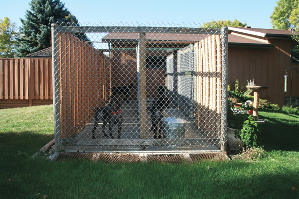 keeping a dog outside in a kennel