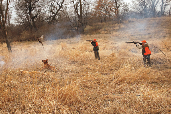 How to Shoot Safely With Your Gun Dog