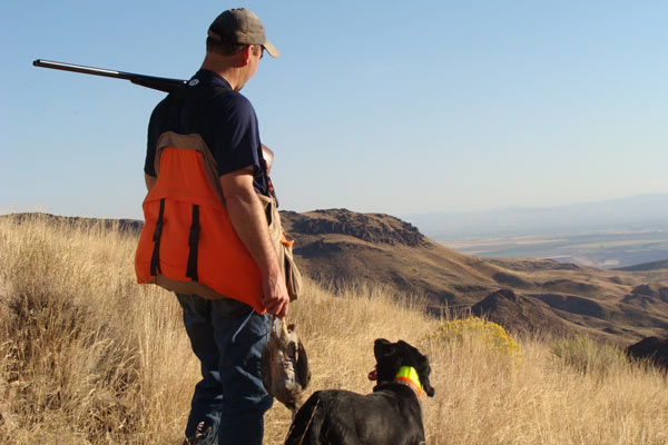 How to Protect Your Bird Dog From Lyme Disease