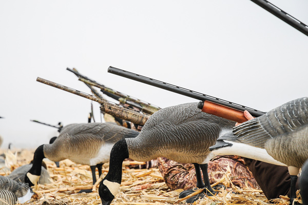 Hottest New Waterfowl Shotguns for 2015