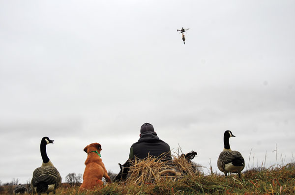 How Drones Can Help with Retriever Training