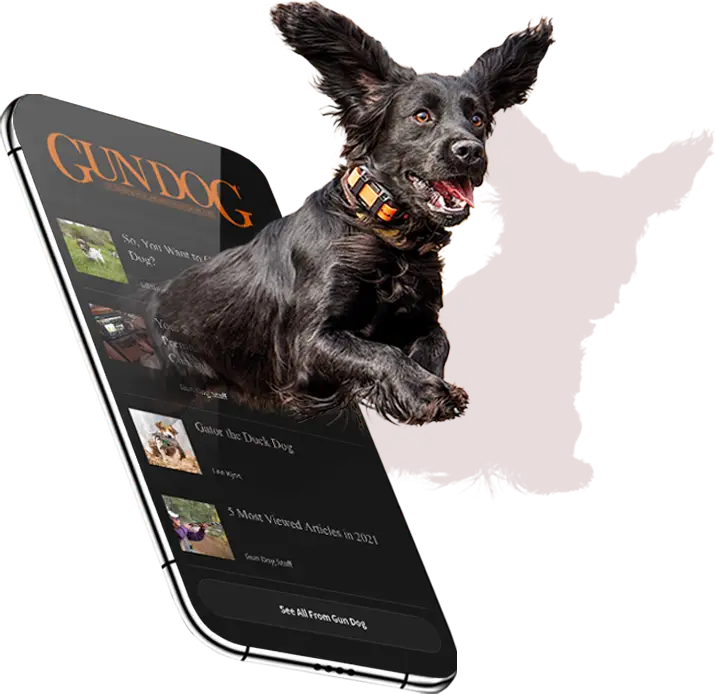 Dog jumping out of phone with Gun Dog website in the background
